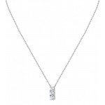 Imagen del Collar Morellato Tesori Mujer SAIW240