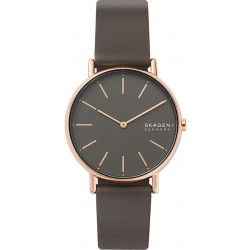 Купить Skagen Женские Часы Signatur SKW2794