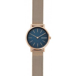 Купить Skagen Женские Часы Signatur SKW2837